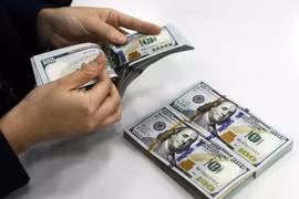 The State Bank of Vietnam sets daily reference exchange rate for the US dollar at 24,964 VND/USD on April 10. (Photo: VNA)