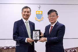 Vietnamese Ambassador Dinh Ngoc Linh (left) and Penang Chief Minister Chow Kon Yeow at their meeting in Penang, Malaysia. (Photo: VNA)