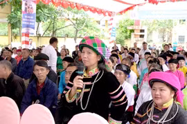 Illustrative image (Photo: VNA)