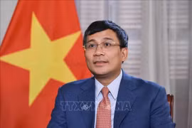 Permanent Deputy Foreign Minister Nguyen Minh Vu (Photo: VNA)