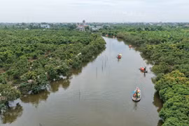 Visitors take boat tours through lychee orchards at Dong Man Ecotourism Area (Source: thanhha.haiphong.gov.vn). 