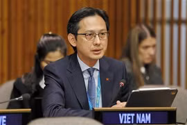 Ambassador Do Hung Viet, head of the Permanent Mission of Vietnam to the United Nations (Photo: VNA)