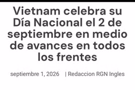 The article by Pedro Gellert (Photo: Screenshot)