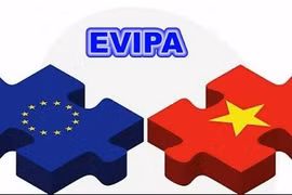 Germany pushes ratification of EU - Vietnam Investment Protection Agreement