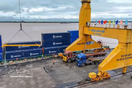 Loading and unloading containers at Cai Cui Port in Can Tho city. (Photo: VNA)