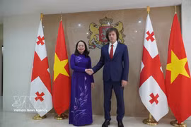 Vice President Vo Thi Anh Xuan and Georgian Prime Minister Irakli Kobakhidze meet in Tbilisi on October 12, 2026. (Photo: VNA)