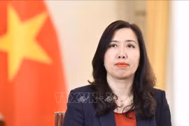 Deputy Minister of Foreign Affairs Le Thi Thu Hang (Photo: VNA)