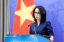 Vietnam resolved to prevent origin fraud, illegal transshipment: spokesperson