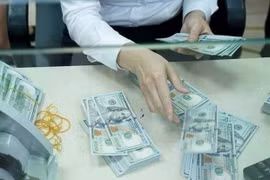 The reference exchange rate is kept unchanged on July 22. (Photo: VNA)