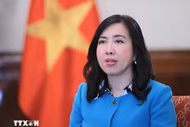 Deputy Minister of Foreign Affairs Le Thi Thu Hang (Photo: VNA)