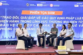 Panellists at the conference (Photo: VNA)