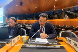 Ambassador Mai Phan Dung, Permanent Representative of Vietnam to the United Nations, the World Trade Organisation (WTO) and other international organisations in Geneva, speaks at the eight WTO Trade Policy Review of India. (Photo: VNA)