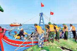 Quang Ngai border guard forces conduct regular sea patrols, strictly handle IUU fishing violations. (Photo: nhandan.vn)