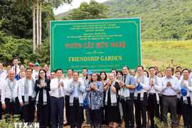 Representatives of Asian consulates in Ho Chi Minh City attend the inauguration of the Friendship Garden in Con Dao. (Photo: VNA)