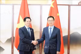 Deputy Prime Minister Mai Van Chinh (L) meets with Chinese Vice President Han Zheng in Nanning city on September 16, 2025. (Photo: VNA)