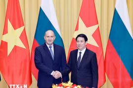 Vietnamese President Luong Cuong (R) and Bulgarian President Rumen Radev at their meeting in Hanoi on November 25, 2024 (Photo: VNA)