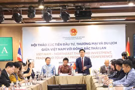 Vietnamese Consul General in Thailand’s Khon Kaen province Dinh Hoang Linh (standing) chairs the event. (Photo: VNA)