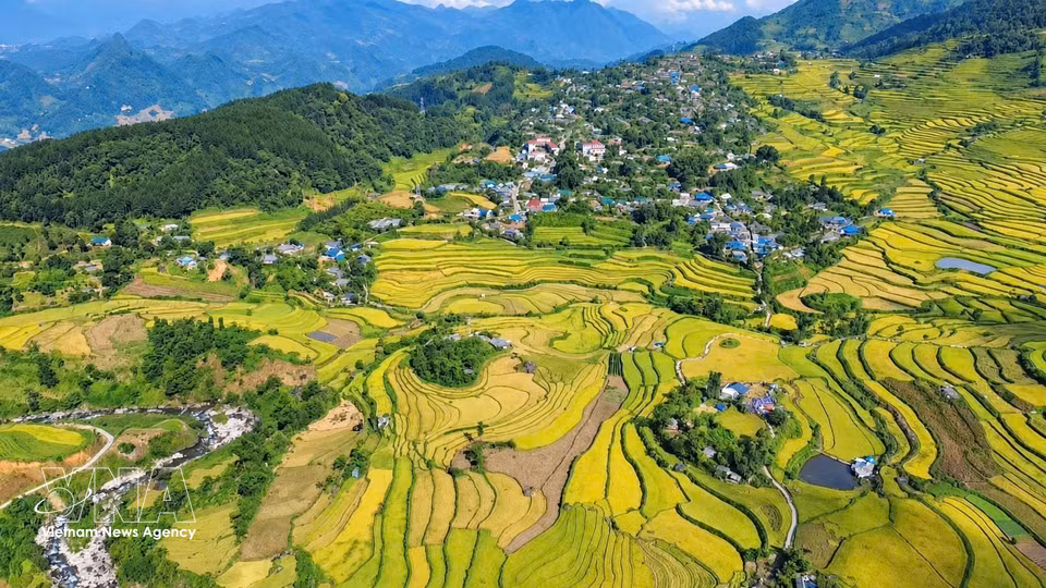Ta Leng’s terraced rice fields in Ta Leng commune, Lai Chau, in the harvest season. (Photo: VNA)