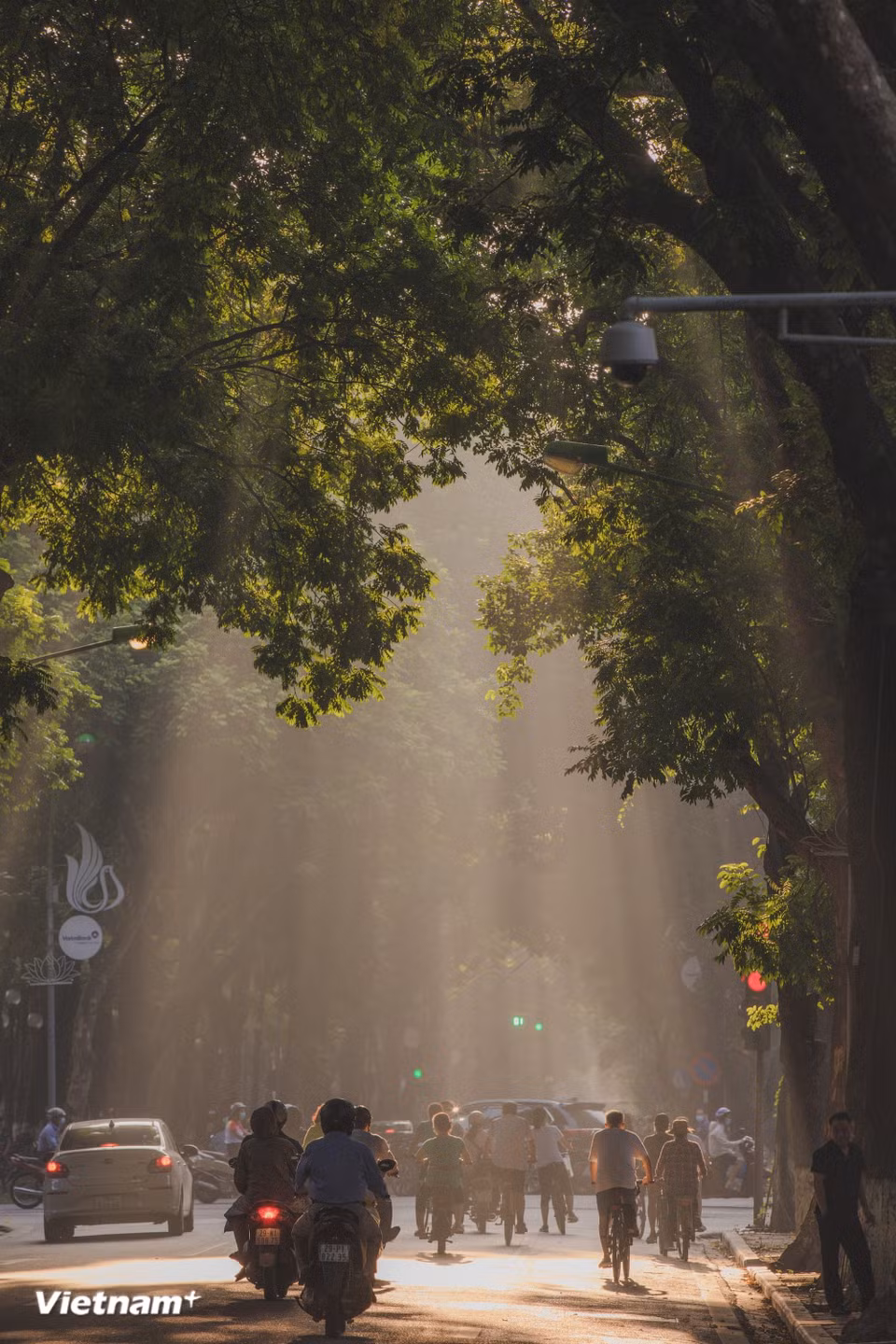 Autumn is perhaps the most beloved season. Hanoi’s autumn carries a quiet breath: yellow leaves drifting across streets and the lingering scent of milk flowers – a fragrance that evokes longing in those far from home. It is also a time of stunning sunshine. (Photo: VietnamPlus)