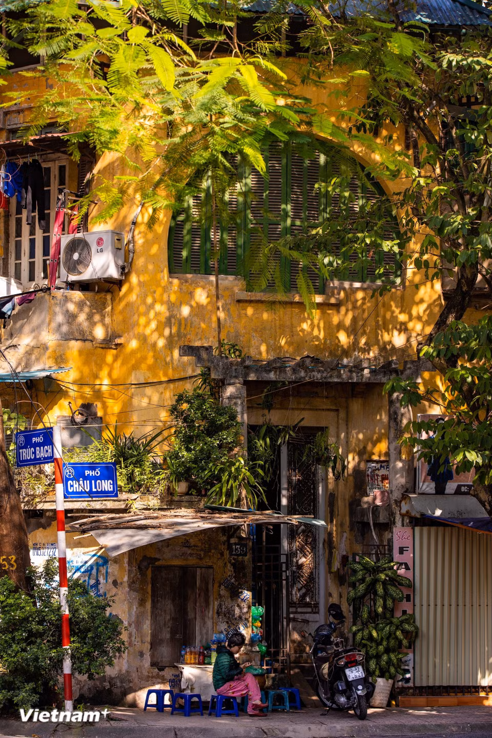 Hanoi’s beautiful sunny season is not harsh but clear and gentle, casting a distinctive light. Beneath ancient trees, sunlight filters through leaves, creating interwoven patches of brightness and shade on pavements and streets. (Photo: VietnamPlus)