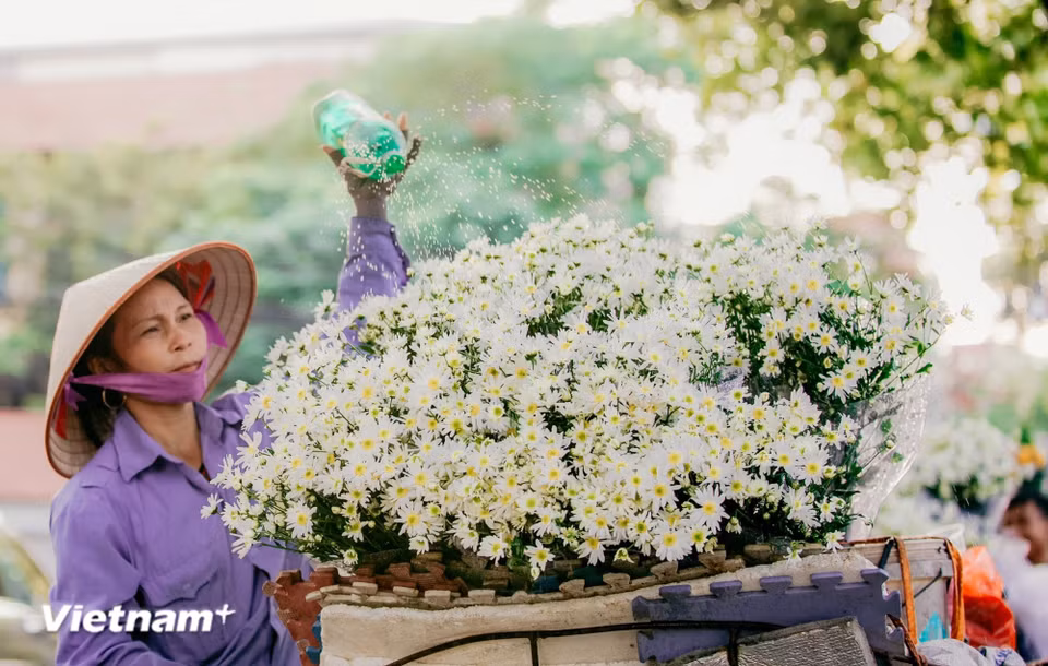 The magic of Hanoi lies in the harmony between people and nature. Flower seasons not only beautify the streets but also preserve memories and cherished moments. (Photo: VietnamPlus)