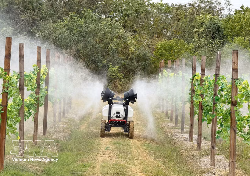 A high-tech agricultural model in China's Guangdong province (Photo: VNA)