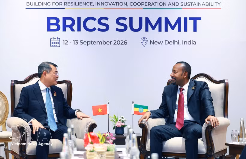 Vietnamese Prime Minister Le Minh Hung (L) meets with his Ethiopian counterpart Abiy Ahmed Ali in New Delhi. (Photo: VNA)