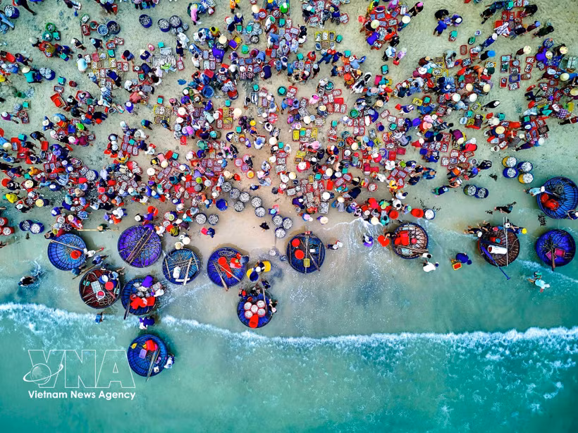 Fishermen, traders, and buyers gather at Tam Tien fish market in Tam Xuan commune, Da Nang city. (Photo: VNA)