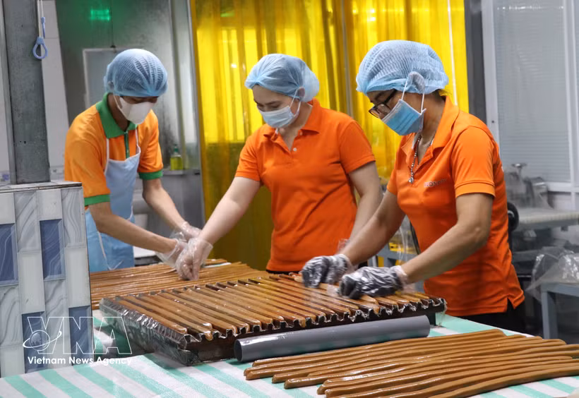 Workers at Cau Ke Wax Coconut Processing Company Limited (Vicosap), Tam Ngai commune, Vinh Long province, process products from wax coconuts. (Photo: VNA)