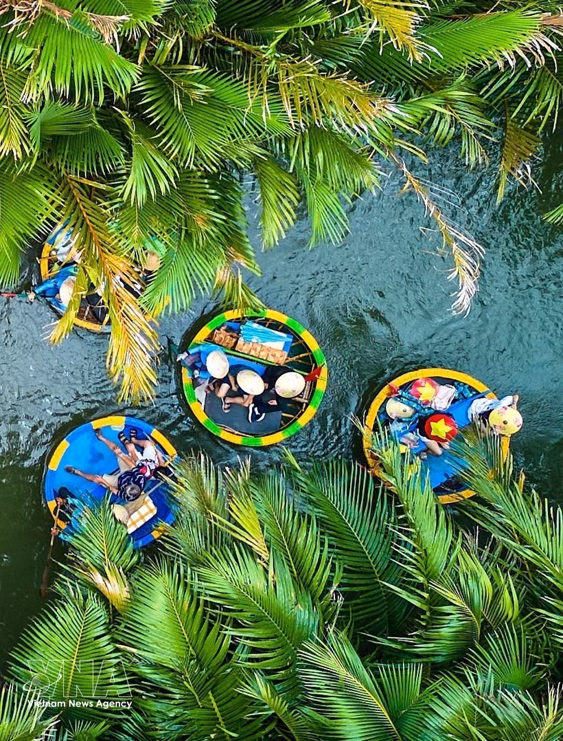 The Bay Mau nipa palm forest – a unique green destination in the heart of Da Nang (Photo: VNA)