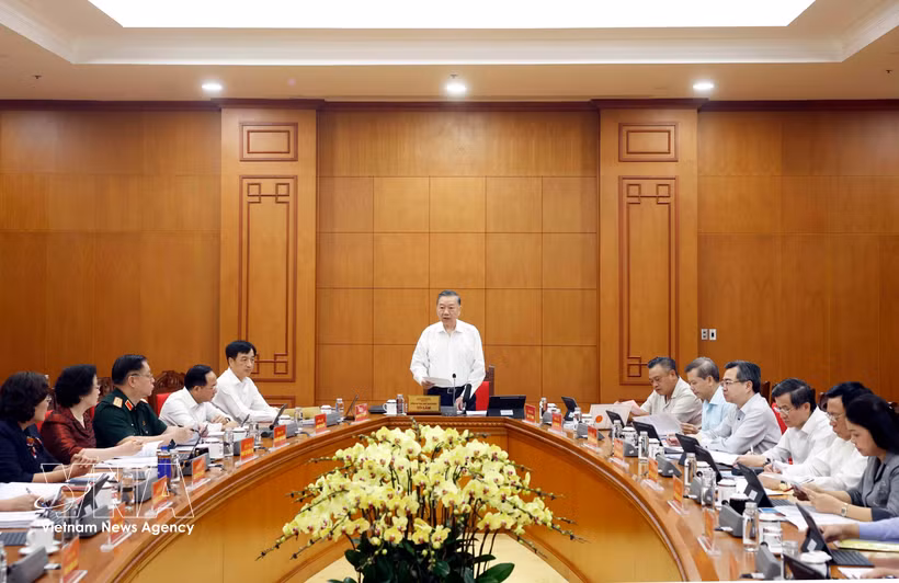 General Secretary of the Communist Party of Vietnam Central Committee and President To Lam speaks at the working session with the Party Central Committee’s Commission for Organisation on August 20. (Photo: VNA)