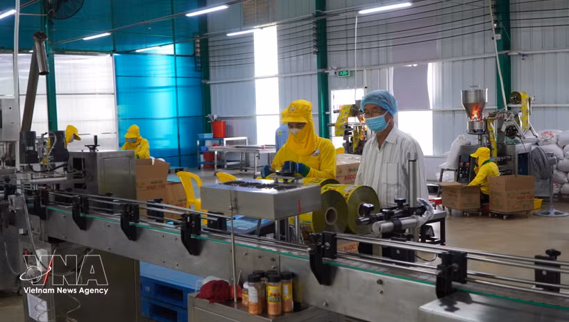 An enterprise in the southern province of Dong Thap invests in modern technologies and machinery for production. (Photo: VNA)