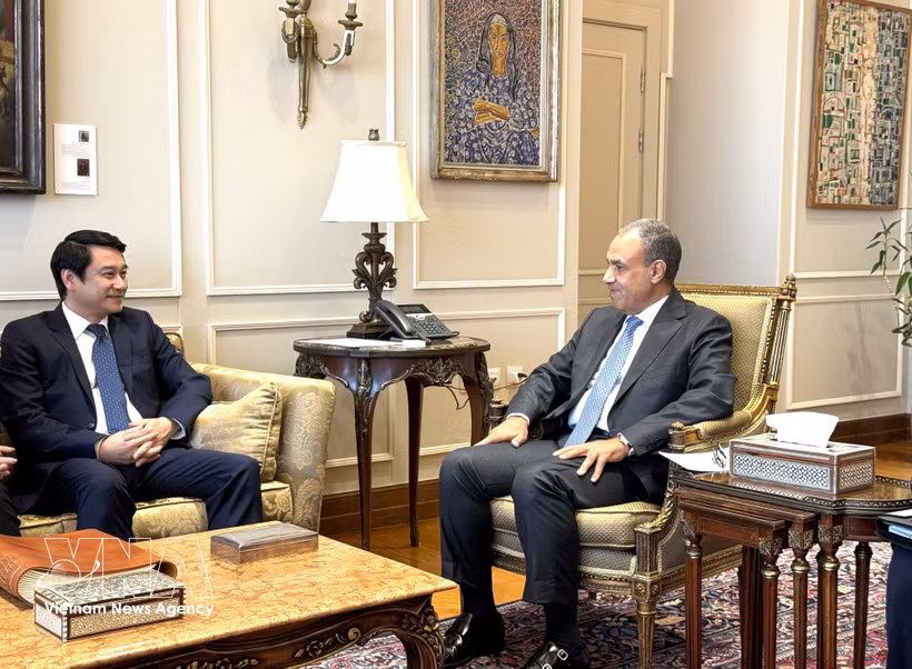Deputy Minister of Foreign Affairs Le Anh Tuan (L) meets with Egyptian Minister of Foreign Affairs Badr Abdelatty in Cairo. (Photo: VNA)
