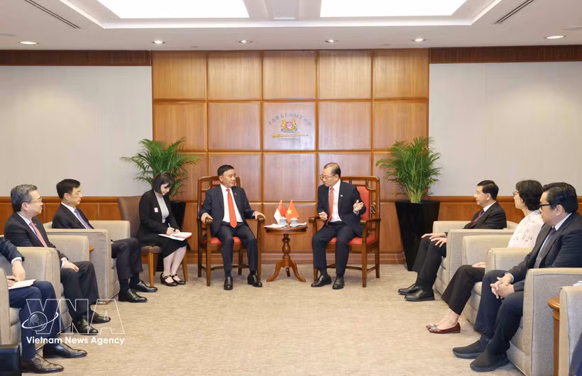 Politburo member and Standing member of the Communist Party of Vietnam (CPV) Central Committee’s Secretariat Tran Cam Tu meets with Speaker of the Parliament of Singapore Seah Kian Peng on August 24. (Photo: VNA)