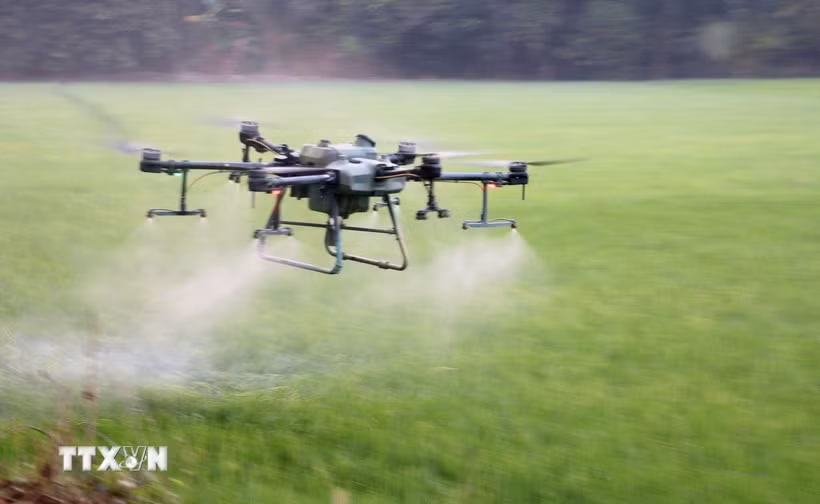 Farmers in An Giang province are using drones to spray pesticides, saving costs, effort, and time. (Photo: VNA)