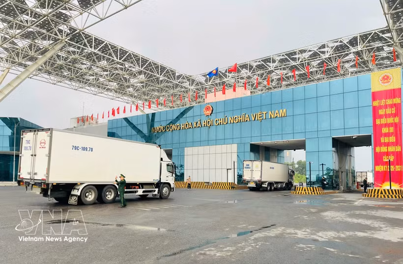 Trucks line up for customs clearance at the Bac Luan II Bridge, Mong Cai International Border Gate, Quang Ninh province. (Photo: VNA)