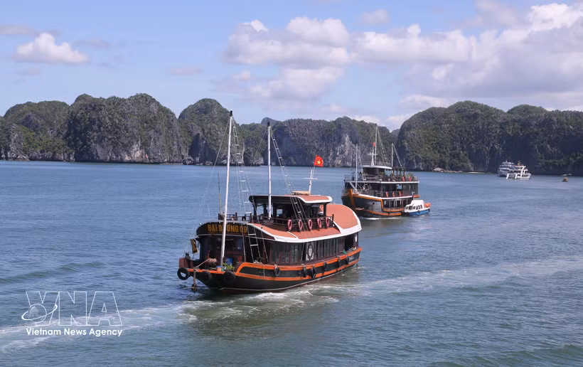 Tourists visit Cat Ba by cruise ship. (Photo: VNA)