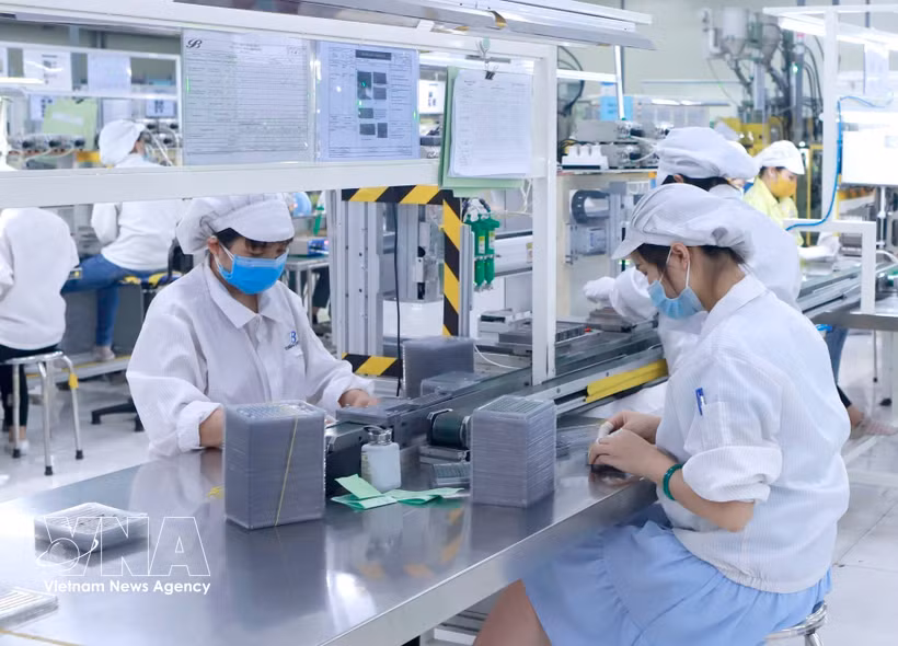 Production of electronic components at Star Engineers Vietnam Co., Ltd. in Binh Xuyen I Industrial Park, Phu Tho province. (Photo: VNA)