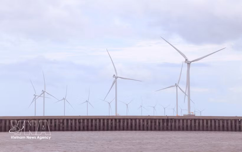Ca Mau is stepping up renewable energy development, leveraging its coastline of more than 310km (Photo: VNA)