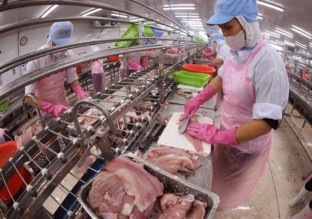 As export demand strengthens, labour shortages are becoming a growing constraint on manufacturers. (Photo: VNS/VNA)