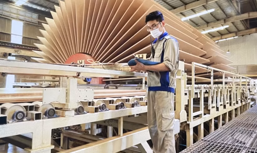MDF wood production at Quang Tri Wood Company (Photo published by VNA)