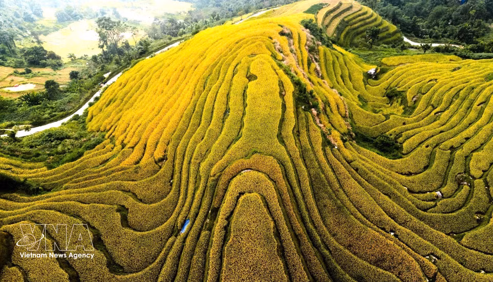 Terraced fields following one another along the hillsides. (Photo: Minh Tam/VNA)