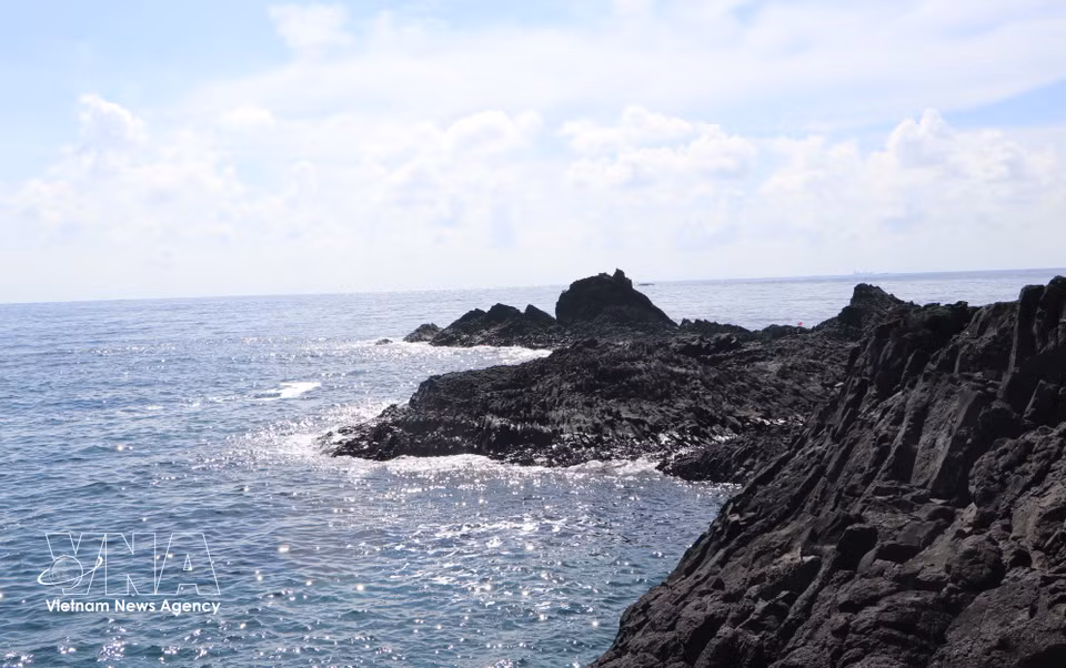 Black basalt and laterite rock formations at Hon Nhan are remnants of volcanic eruptions millions of years ago. (Photo: Dinh Huong/VNA)
