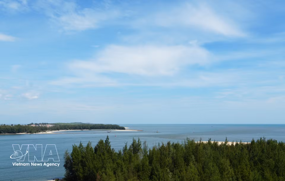 Casuarina groves along both sides of Thuan An estuary in Hue city create a lush green landscape. (Photo: VNA)