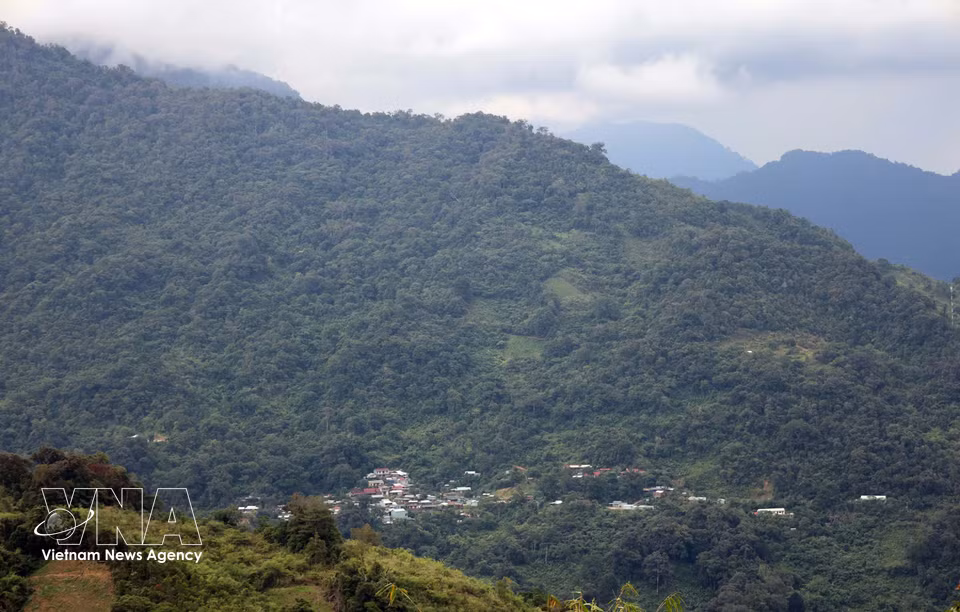 A corner of Ngoc Linh Mountain, where the cool year-round climate provides ideal conditions for one of the world’s finest ginseng varieties. (Photo: VNA)