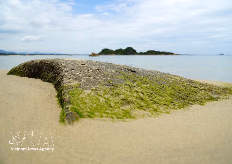 Moss-covered rocks line the shore of Son Tra beach in Quang Ngai province. (Photo: VNA)
