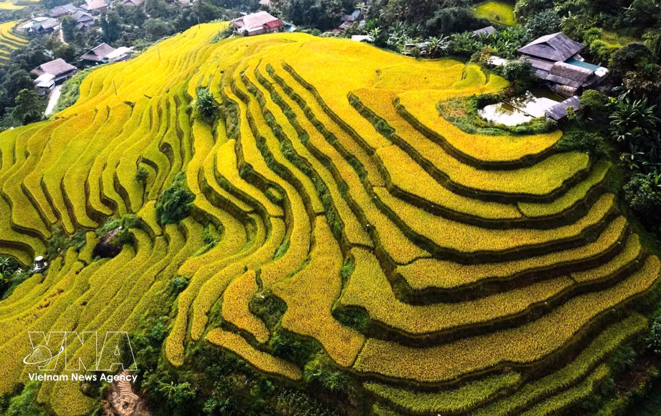 Tiered rice fields beside houses and small ponds. (Photo: Minh Tam/VNA)