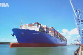 Vietnam targets lower logistics costs to boost competitiveness 
