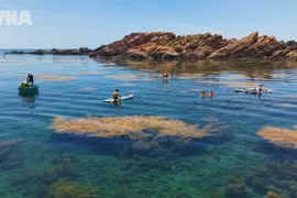 Nhon Hai balances marine tourism with coral reef conservation