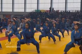 7th Vovinam World Championship promotes Vietnamese martial art in Paris